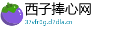 西子捧心网